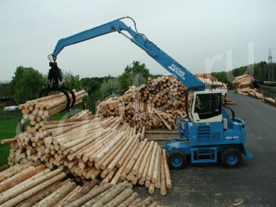 ������������� ����, ���� ����, ������, �����, �/�