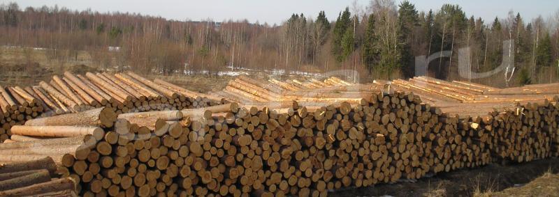 ������� ������������� �� ������������