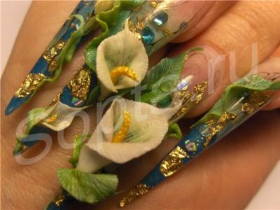 ����������� ������, �����, ������. 