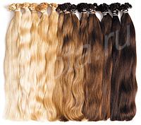 ����������� �����.�����������.��������!