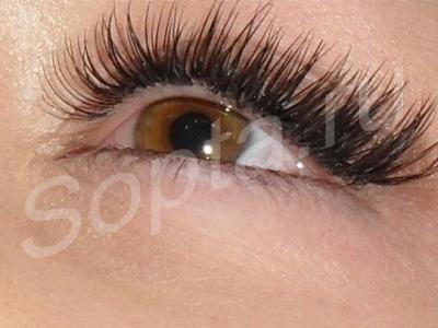 ����������� ������ �� ����