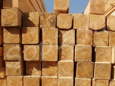 ����������������� �� 10 �����