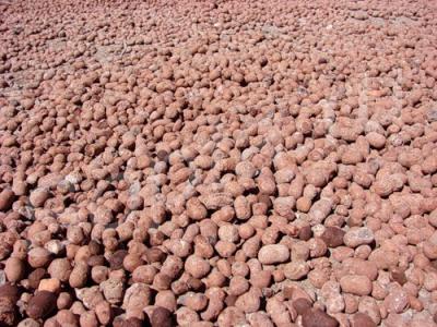 �����, ������, �����, ��������, �����. 