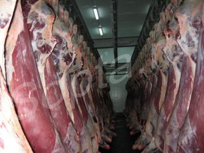 ������� ���� �����! ���!