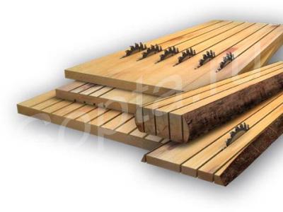 ����, ����� ��������.