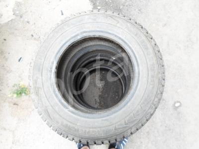    Nokian Nordman 5